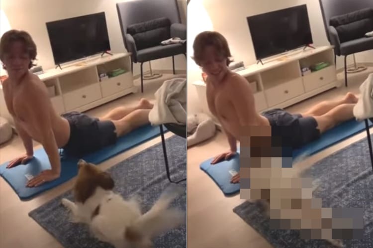 飼い主さんがするヨガのポーズを、尻尾を振りながら真似する犬。その姿がかわいすぎる！！