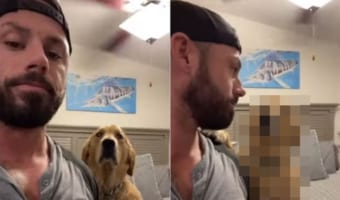 もう一回キスしてほしいワン!飼い主がキスした後の愛犬のリアクションがかわい
