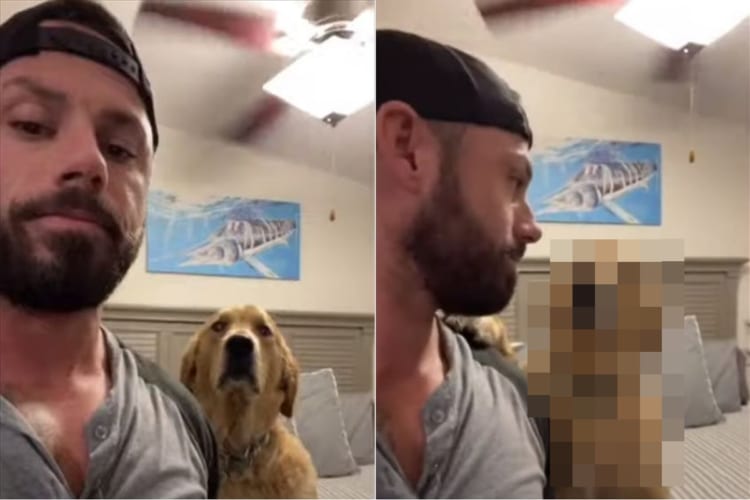 もう一回キスしてほしいワン！飼い主がキスした後の愛犬のリアクションがかわい