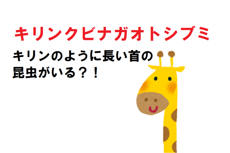 生命の神秘！キリンクビナガオトシブミがその名の通り首が長くてなんだかスゴい！！