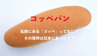 コッペパンの「コッペ」とは何のこと？どこから伝わったパンなの？