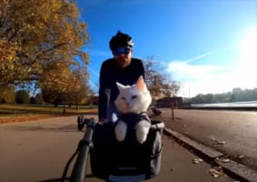 愛猫と一緒にロンドンの街ををサイクリング！変わっていく景色と楽し気な猫の姿に癒される