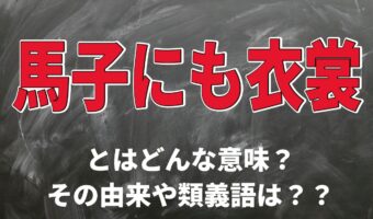 「馬子にも衣裳」は褒め言葉?その言葉の意味とは?「馬子」とはなんのこと??