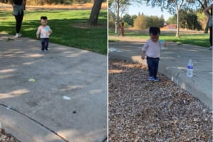 「段差に躓くと危ないからね！」散歩道の段差を腹ばいになってズリズリ下がって越えていく1歳の赤ちゃん。けど、それはちょっと手前からすぎない？？