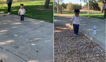 「段差に躓くと危ないからね！」散歩道の段差を腹ばいになってズリズリ下がって越えていく1歳の赤ちゃん。けど、それはちょっと手前からすぎない？？