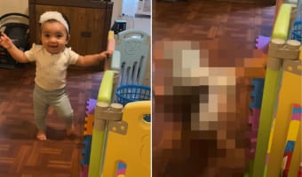 もうつたい歩きじゃなくて平気だよ！一人歩きできるとおばあちゃんに自信満々に笑顔でアピールした赤ちゃんの身に・・・このあと悲劇が！！