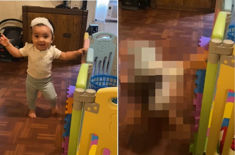 もうつたい歩きじゃなくて平気だよ！一人歩きできるとおばあちゃんに自信満々に笑顔でアピールした赤ちゃんの身に・・・このあと悲劇が！！