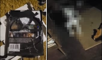 ボロボロになったDVDのケース。このケースをオモチャにした当人は逃げもせずに、なんだかとてもご機嫌にしているのでした