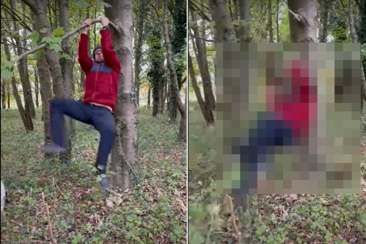 ターザンごっこをするなら枝をよく選んで！子どもたちにいいところを見せたかったお父さん。しかし枝が細すぎたようで・・・