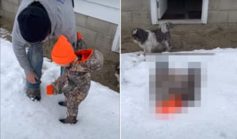 はじめて雪を見た男の子。雪に興味津々だけど・・・はじめての白くて足がスッポリ沈んでどうしたらいいか分からなくなったのかパニック！！