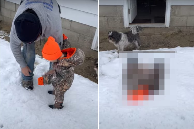 はじめて雪を見た男の子。雪に興味津々だけど・・・はじめての白くて足がスッポリ沈んでどうしたらいいか分からなくなったのかパニック！！