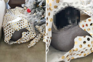 「クリスマスプレゼントありがと～」ラッピングして置いていたクリスマスプレゼントが開封されてる！中身を確認すると・・・