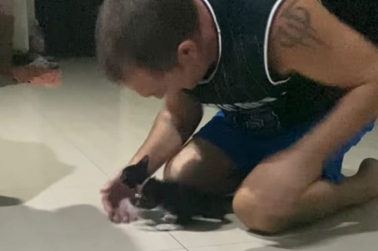 もう一回ニャ！飼い主さんのおひざのトンネルをくぐって滑らせてもらうのが楽しい子猫