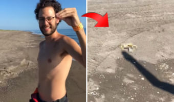 これが本当のシャドーボクシング？男性が手で作った影をカニに近づけてみると・・・、カニが影相手に威嚇をし始めました！！