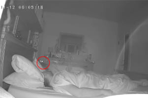 「どうやって起こそう。これでいっか」いつもなら起きてくる時間なのに寝ている飼い主さんを起こそうと愛猫が取った手段が大胆すぎる