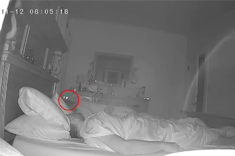 「どうやって起こそう。これでいっか」いつもなら起きてくる時間なのに寝ている飼い主さんを起こそうと愛猫が取った手段が大胆すぎる