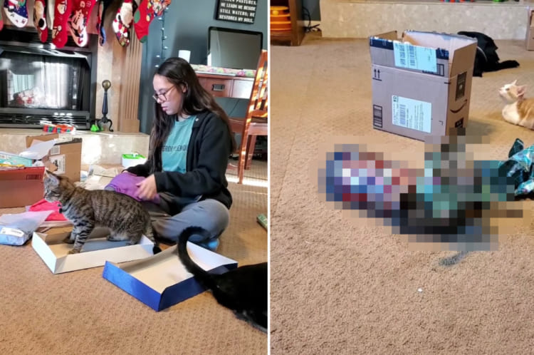 忙しい時は「猫の手も借りたい」と言うけれど・・・。クリスマスプレゼントのラッピング作業で大忙しな時に、猫の手を借りようとしたら・・・こうなった