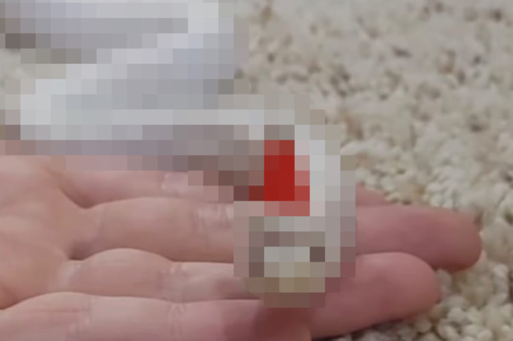 ニョロニョロ動く細長い体に小さな赤い帽子。一風変わったサンタさんの姿に「かわいい」の声！