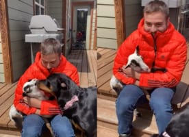 「この子かわいいワンね！」男性が抱いている子羊のかわいさにメロメロになった犬。子羊のことをペロペロ舐めてご挨拶！