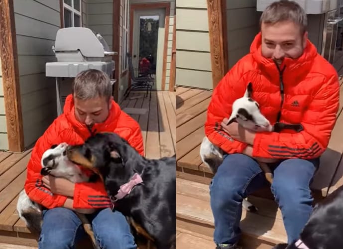 「この子かわいいワンね！」男性が抱いている子羊のかわいさにメロメロになった犬。子羊のことをペロペロ舐めてご挨拶！