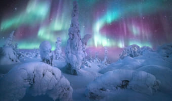 自然現象の美しさと写真家のスキルの結晶。『オーロラ写真コンテスト2021』の優秀作品はどれも幻想的で息をのむ美しさ！！
