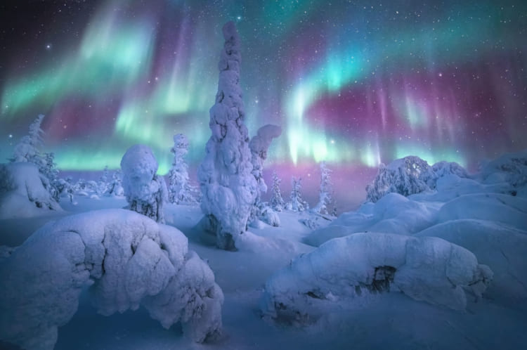 自然現象の美しさと写真家のスキルの結晶。『オーロラ写真コンテスト2021』の優秀作品はどれも幻想的で息をのむ美しさ！！