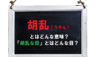 「胡乱（うろん）」とはどのような意味？その用い方や由来は？「胡乱な目」が指す状況も解説！！