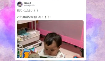 見てください、この真剣な眼差しを!赤ちゃんが熱心に読んでいる本のタイトルがまさかすぎた!!