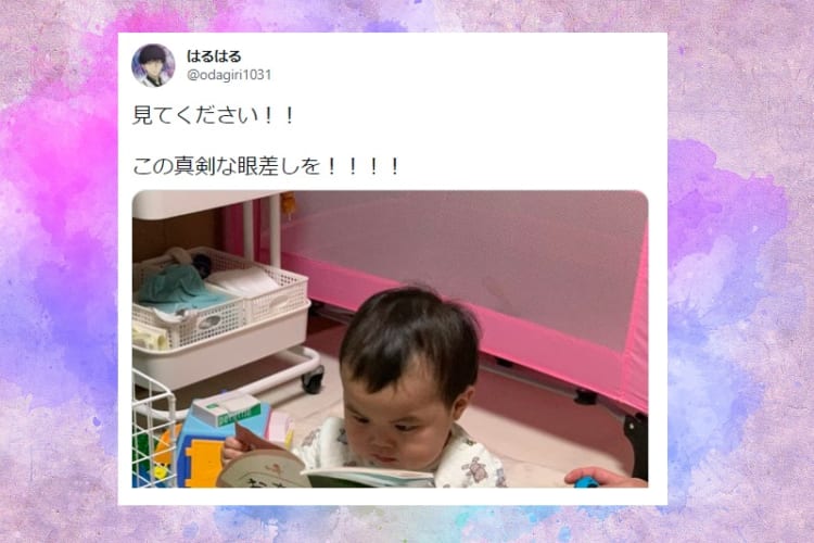 見てください、この真剣な眼差しを！赤ちゃんが熱心に読んでいる本のタイトルがまさかすぎた！！