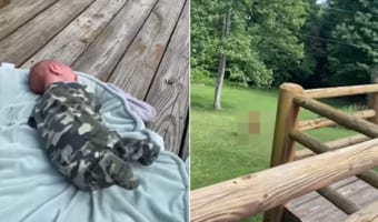 まるでディズニー映画の世界！赤ちゃんの泣き声が気になった鹿が森の中から姿をあらわし様子を伺っていたのでした