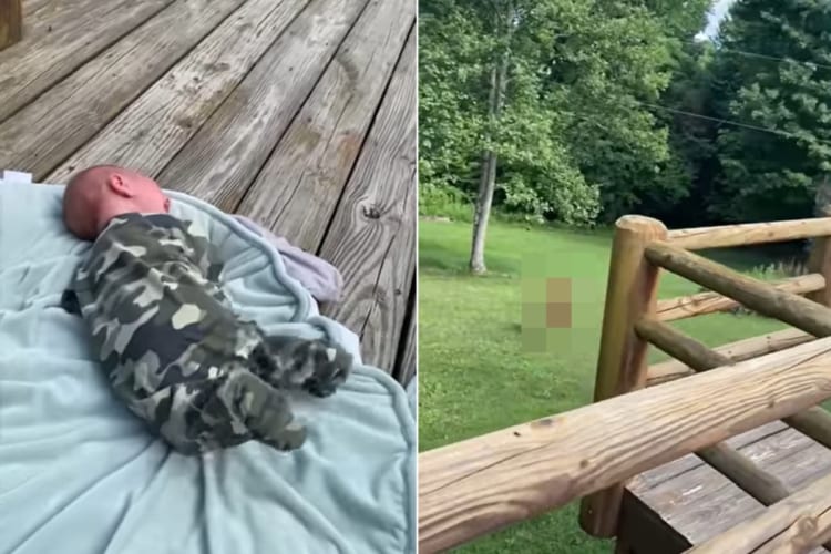 まるでディズニー映画の世界！赤ちゃんの泣き声が気になった鹿が森の中から姿をあらわし様子を伺っていたのでした