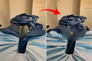 「え、どんどん沈んでいくんだけど」ベッドシーツに飛び乗った猫。ところが飛び乗った場所が悪かったため、体が次第に飲み込まれていってしまうのでした