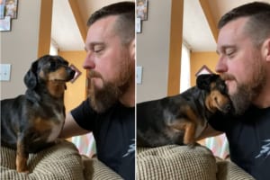 パパが大好きなダックスフンド。パパからほっぺにキスしてもらって・・・もうメロメロ！！