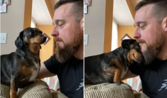 パパが大好きなダックスフンド。パパからほっぺにキスしてもらって・・・もうメロメロ！！