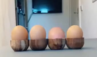 並べられた4つの卵・・・・。その正体にビックリしつつも笑っちゃう！！