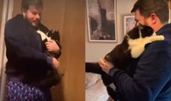 パパに飛びつくのが大好きな猫。その姿はまるで「ギュ～ってして！」とばかりに抱き着きに行っているみたい！