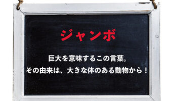 巨大を意味する「ジャンボ」。その由来はサーカスで活躍した『ある動物』の名前から!!