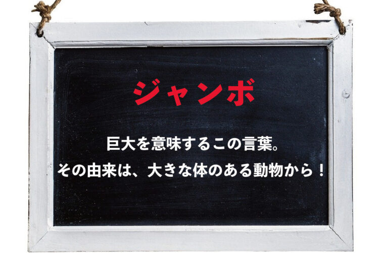 巨大を意味する「ジャンボ」。その由来はサーカスで活躍した『ある動物』の名前から！！