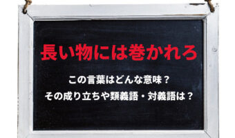 「長い物には巻かれろ」とはどんな意味の言葉?その成り立ちには「あの動物」が関わっていた?