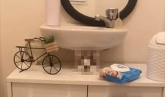 なんでそんなところに?!愛猫がいないと思ったら・・・、トンデモナイところから顔を出していたのです!!