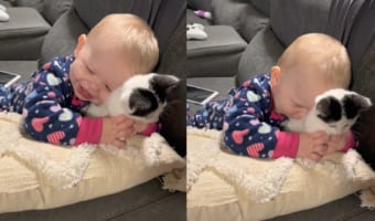 新しくお迎えした子猫をさっそく大好きになった赤ちゃん。「ずっと一緒~」とばかりにぎゅ~~~っと抱きしめて放しません