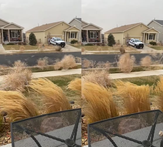 西部劇などで見かける「アレ」がとんでもない数街中を飛び交ってる！！