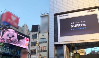 新宿3D巨大ネコが大好物のマグロを求めて、クロス新宿ビジョンからアルタビジョンへと飛び移る?!【NURO猫祭・# ニャーロをさがせ】