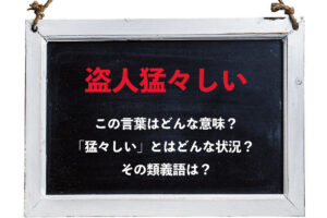 「盗人猛々しい」とはどんな意味？「猛々しい」とはどのような状況をあらわしているの？