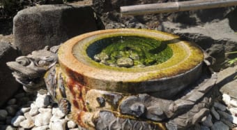 風流な音を奏でる「ししおどし」、もともとその音は聞き入るのが目的ではなかった？！