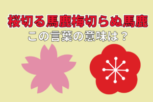「桜切る馬鹿梅切らぬ馬鹿」とはどんな意味？その由来は？