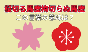 「桜切る馬鹿梅切らぬ馬鹿」とはどんな意味？その由来は？