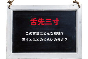 「舌先三寸」とはどんな意味？「三寸」とはどのくらいの長さ？