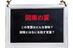「図南の翼」とはどんな意味の言葉？「図南」とはなに？なんの「翼」なの？