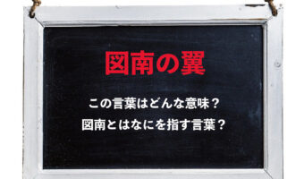 「図南の翼」とはどんな意味の言葉？「図南」とはなに？なんの「翼」なの？